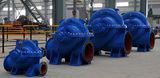 High Rotational Speed Horizontal Slurry Pump (300ZGL)