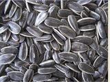 Sunflower Seeds (ZS-SFS)