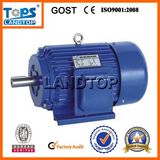 Y Series Three-Phase Electric Motor