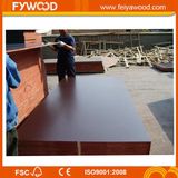 Concrete Shuttering Plywood with Brown Film Faced