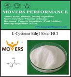 Factory Supply High Quality Food Grade L-Cysteine Ethyl Ester HCl 99%