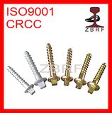 Customized Design Screw Spike for Railroad