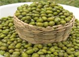 100% Wholesale Chinese Green Mung Beans
