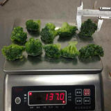 New Crop Frozen Fresh IQF Vegetables Broccolis Florets