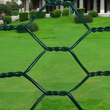 Hexagonal Wire Netting Hexagonal Chicken Wire Mesh