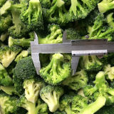 New Season IQF Frozen Fresh Vegetables Florets Broccolis