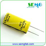 Trustworthy Aluminum Electrolytic Capacitor