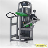 Indoor Gym Equipment Glute Body Building Machine, Bulk Fitness Equipment