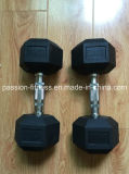 Hexagon Rubber Coated Dumbbell Free Weight Fitness Equipment with SGS