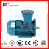 Explosion Proof Electric AC Motor