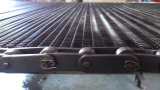 Stainless Steel Chain Conveyor Belt (Without Spacer)