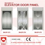 St. St Mirror Door Panel for Elevator Cabin Decoration (SN-DP-373)