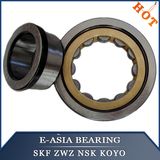 Zwz Bearing for Gear-Box