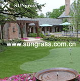 20mm High Quality Artificial Grass for Landscape/Garden/Recreation (SUNQ-HY00088)