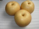 2015 Top Quality Fengshui Pear