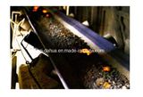 Heat Resistant Conveyor Belt (EP80-EP630)