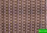 Environment-Friendly Plastic Weaving Material for Cane Shelf (BM-31380)