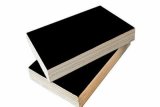 Black Film Faced Plywood of ISO9001: 2000 Standard (12mm)