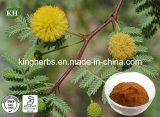 Acacia Catechu Extract 6: 1, Catechins 40% (catechin, epicatechin)