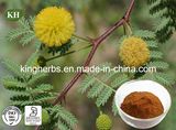 Acacia Catechu Extract 6: 1, Catechins 40% (catechin, epicatechin)