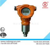 High Precision Intelligent Measuring Instrument