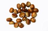 China First Quality Fresh Chestnut