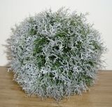 Artificial Grassball (GB112038GW)