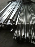 Unnormal Shape Stainless Steel Pipe