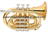 Lacquered Pocket Trumpet