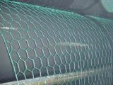 Hex Netting