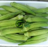 2015 Green Vegetable Fresh Okra