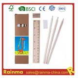 Eco Stationery for School and Office Supply