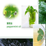 High Quality Pure Natural Peppermint Oil