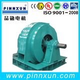 Three Phase Synchronous High Voltage Electric Motor