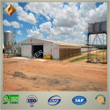 Prefab Metal Steel Structure Chicken House/Poultry House