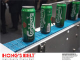 Beverage Industry Plastic Chain Belt (HS-F1000-85A)