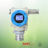 Gas Leak Detector