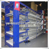 Poultry Breeding System H Type New Chicken Cage for Sale