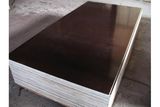 Film Faced Plywood for Construction Concrete Use