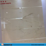 Marble Crystal Stratus Danby Marble for Project