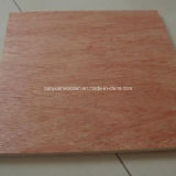 18mm Red Cedar Plywood / Commercial Plywood