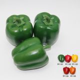 Artificial Fruit, Imitative Polyfoam Capsicum