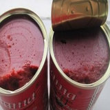 High Quality Canned Tomato Paste on Sale