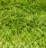 Synthetic Turf for Soccer (MST-48)