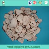 Freeze Dried Squid Slice