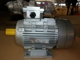Y2 Three-Phase Electric Motor with Aluminum Shell