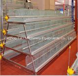 a Type 3 Tiers Layer Broiler Battery Layer Cage