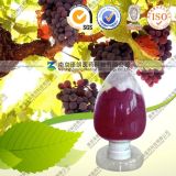 High Quality Antioxidant Grape Seed P. E 95% 98%