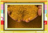 Hot! Corn Gluten Meal with High Quality