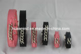 Most Fashionable Pet Collar, Pet Product